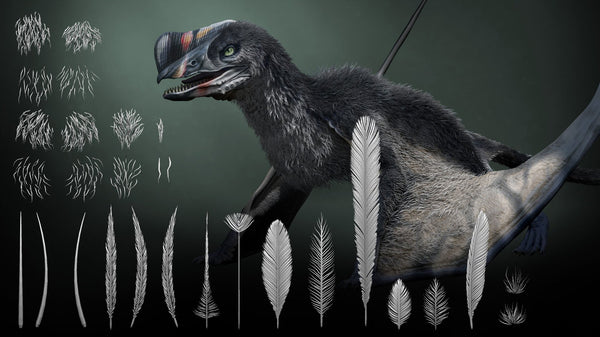 Prehistoric Feathers and Fur IMM Brushes