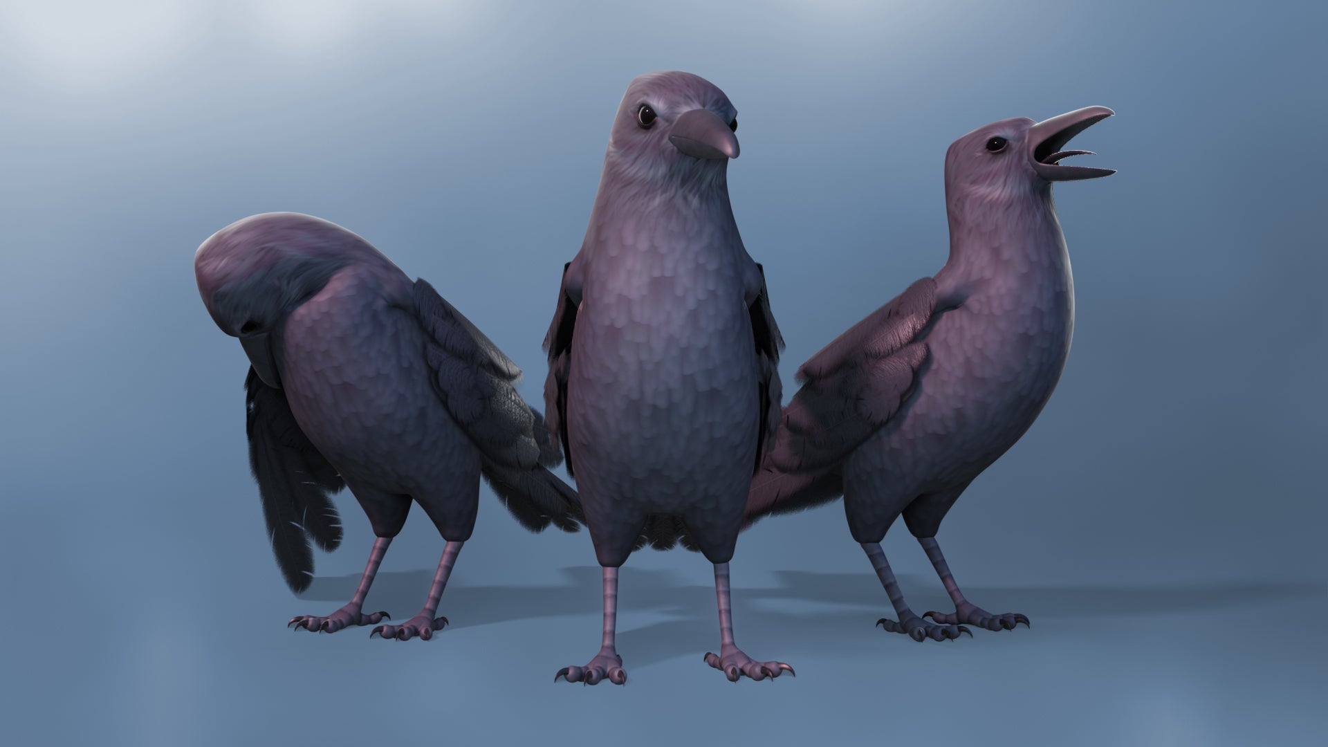 Crow Rigged - 3D Character