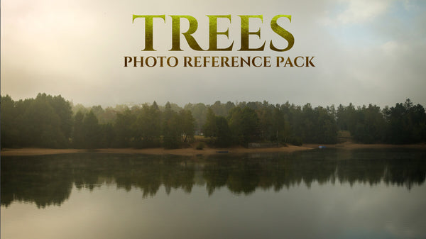 Trees Vol.2 Photo Reference Pack For Artists 396 JPEGs