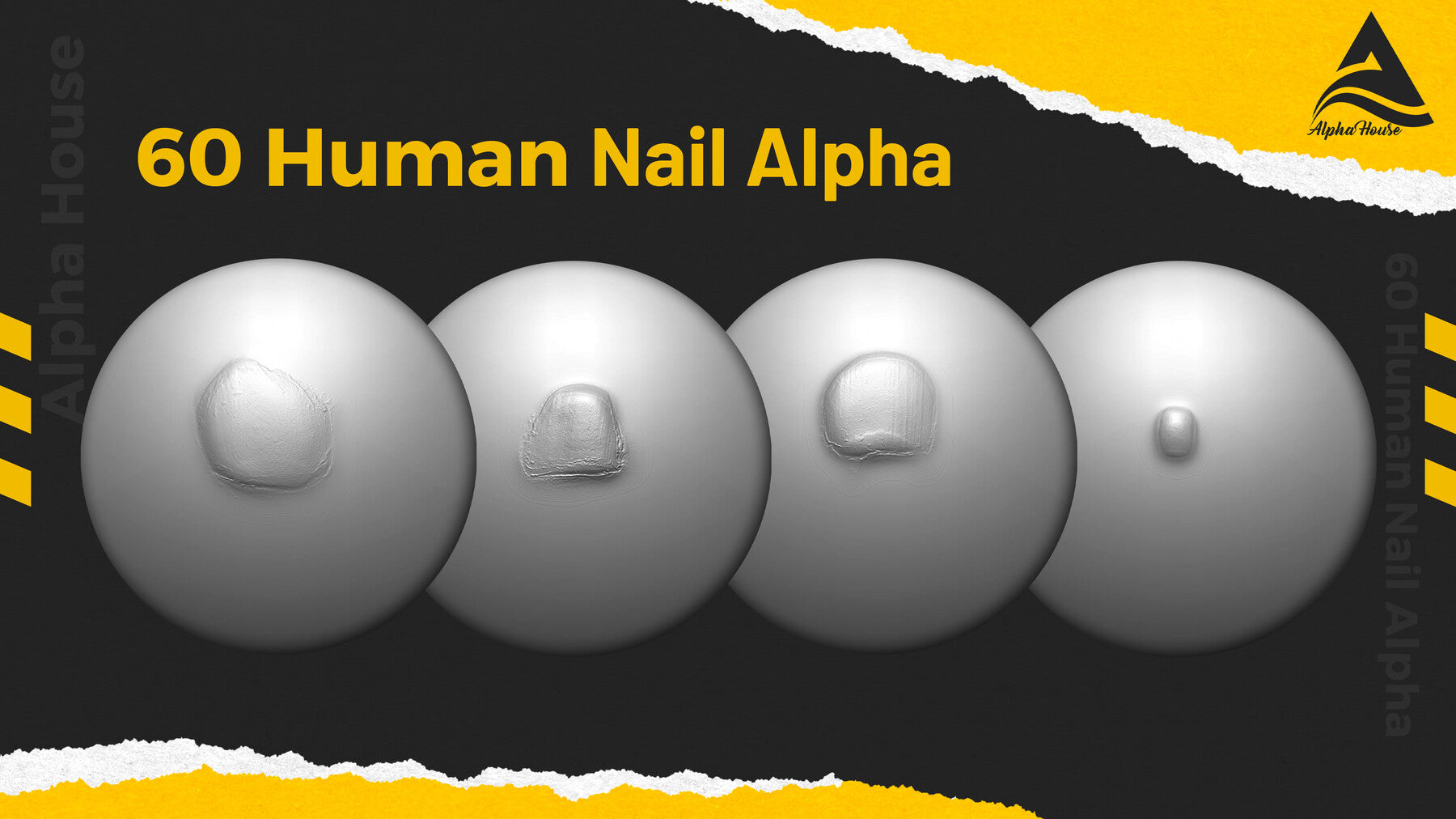 60 Human Nail Alpha