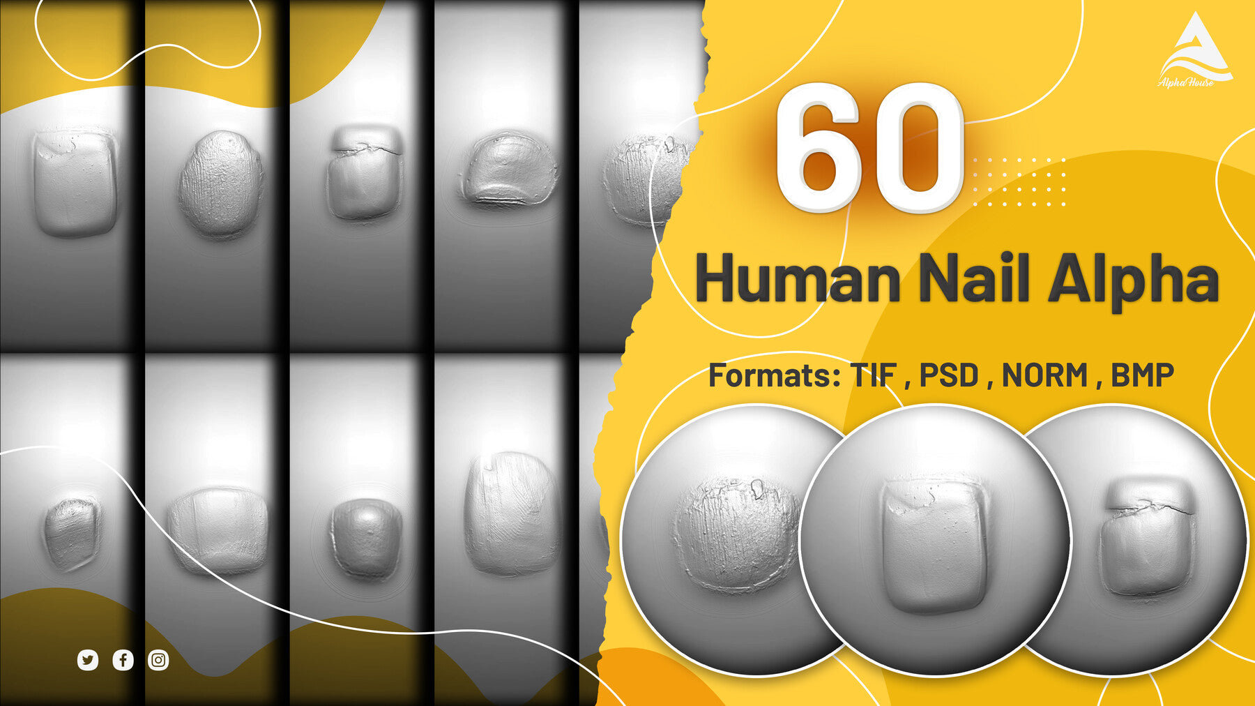 60 Human Nail Alpha