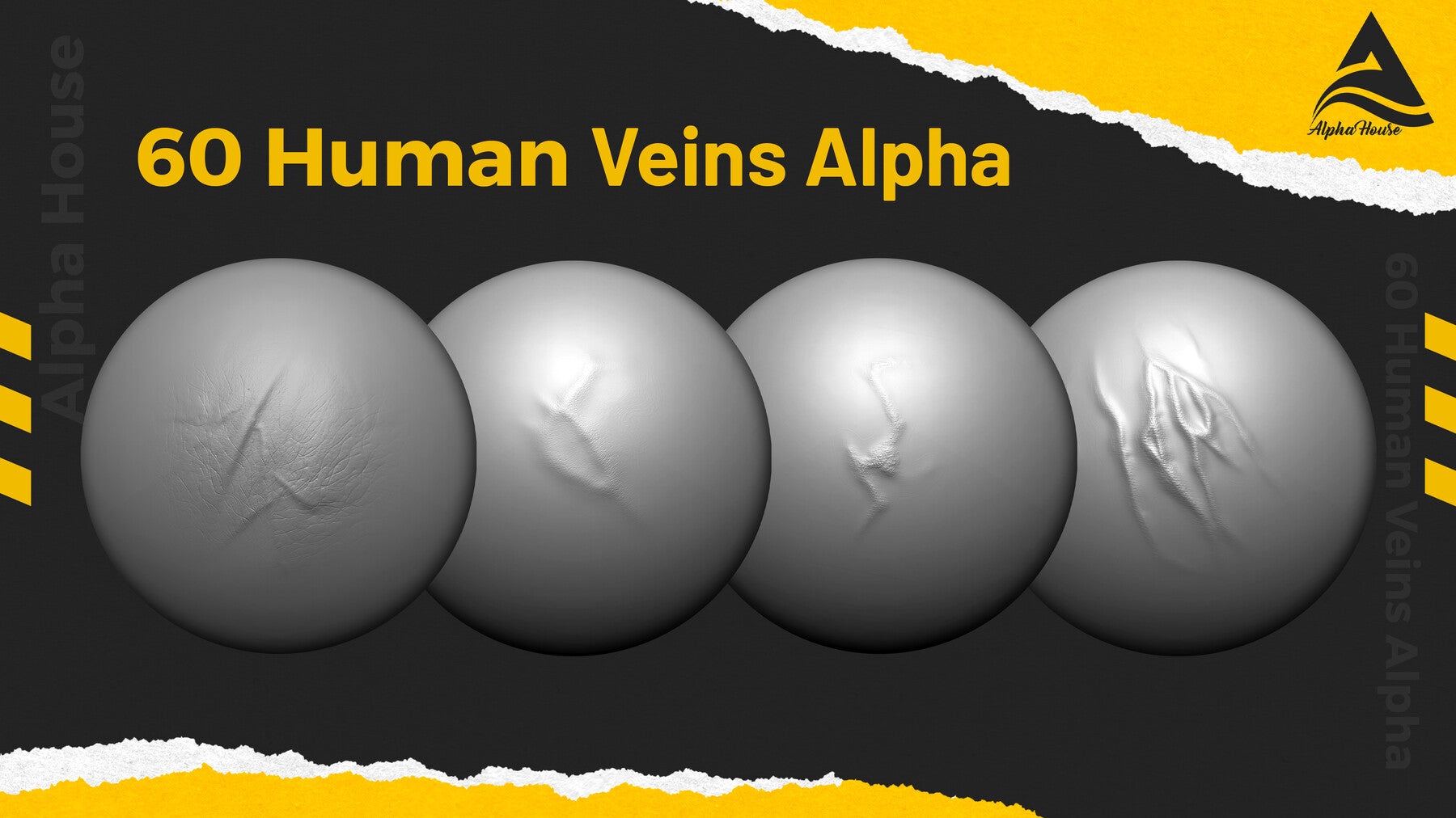 60 Human & Animal Veins Alpha