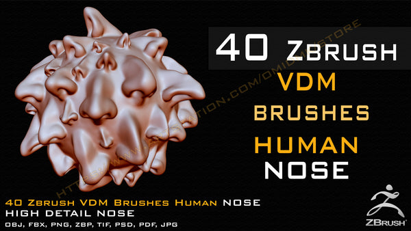 40 Zbrush VDM Human Nose Brushes + Alpha + FBX + OBJ (Vol.01 )