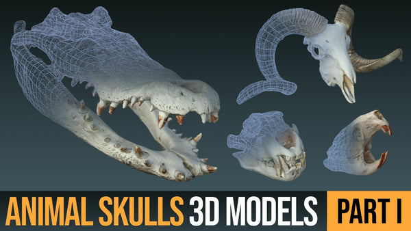 Animal Skulls 3D Models (OBJ)