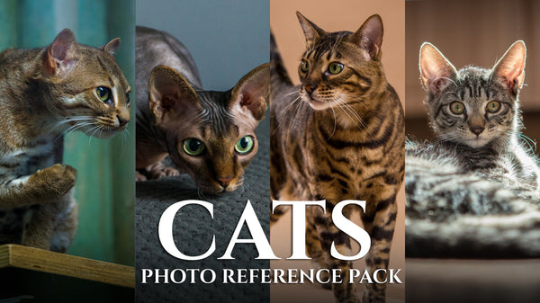 Cats - Photo Reference Pack For Artists 421 JPEGs