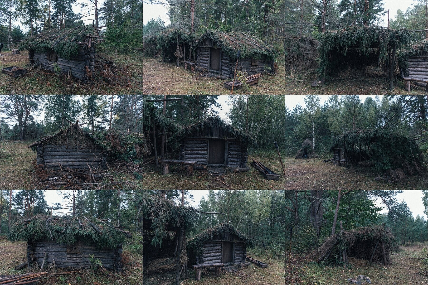 730+ Forest Historical Village Reference Pictures