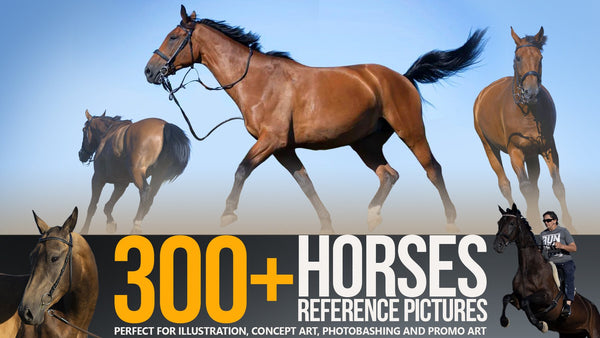 300+ Horses Reference Pictures