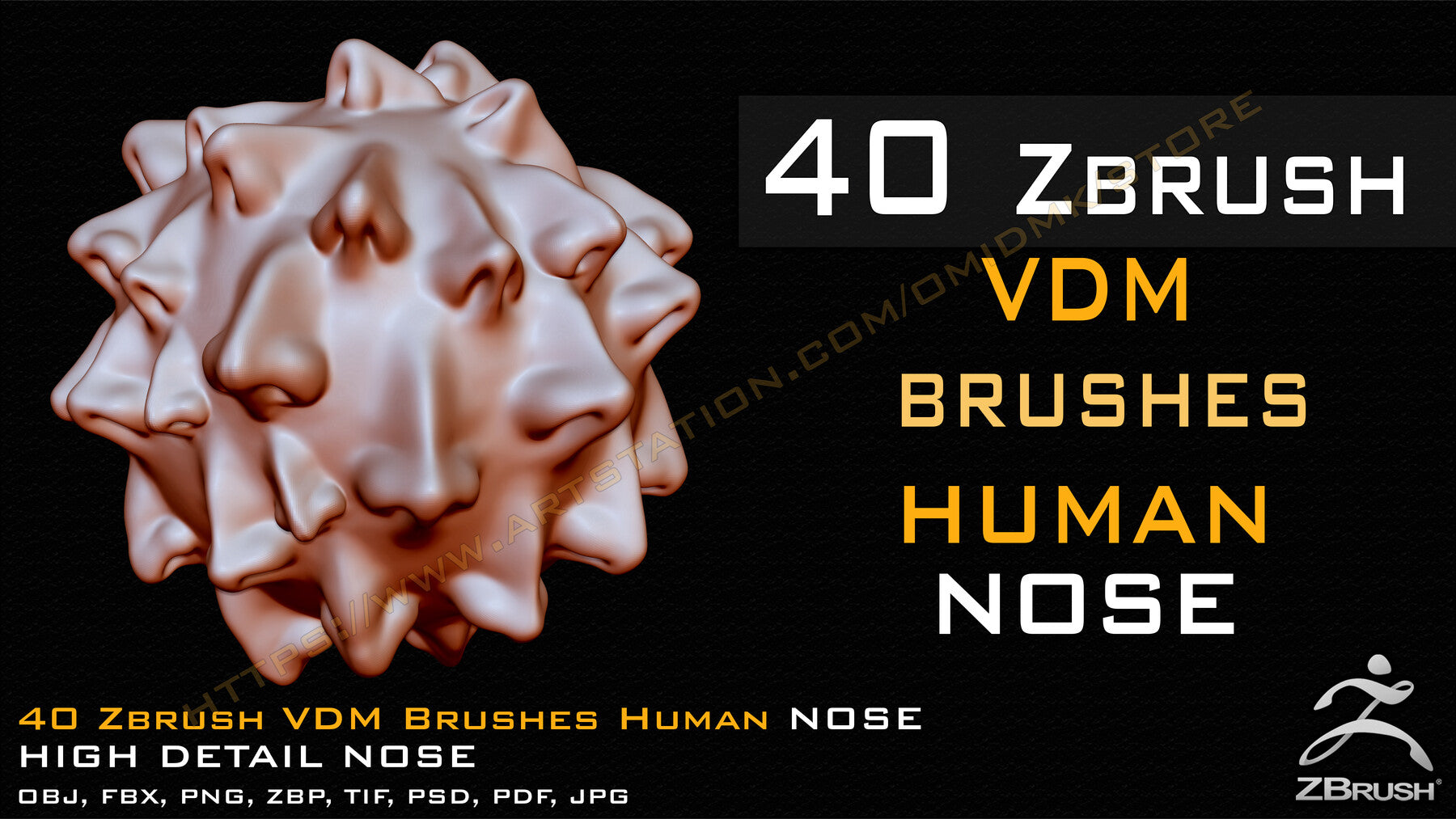 40 Zbrush VDM Human Nose Brushes + Alpha + FBX + OBJ (Vol.01 )