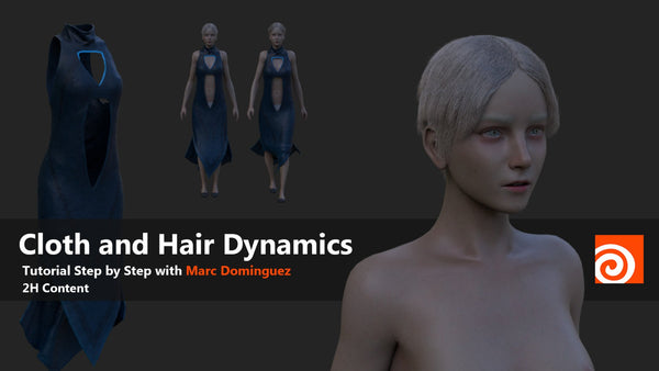 Cloth and Hair Dynamics in Houdini