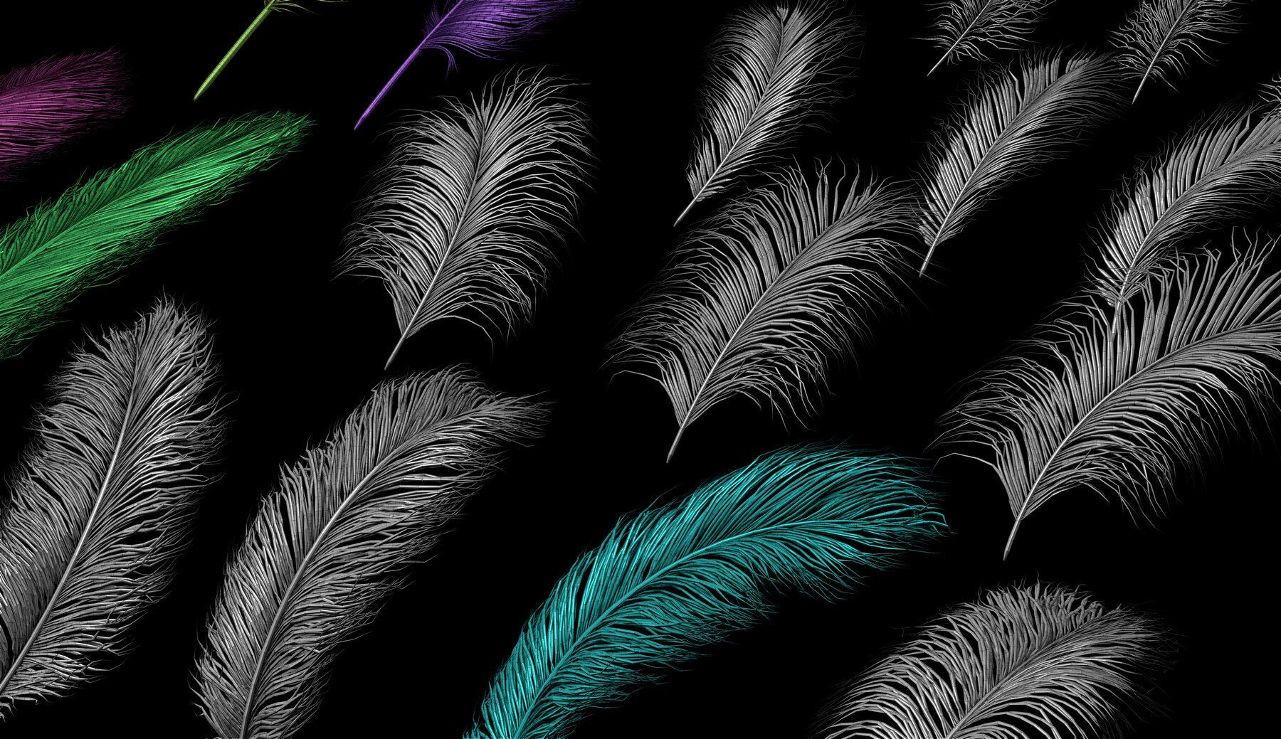 Soft Feathers IMM Brush + OBJs