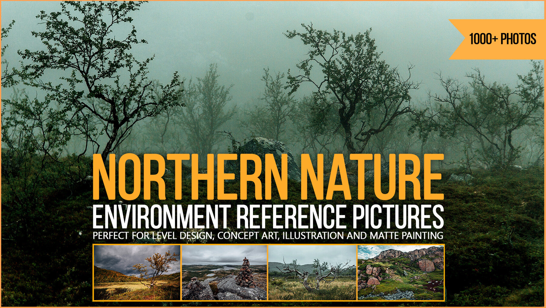 1000+ Northern Nature Environment Reference Pictures