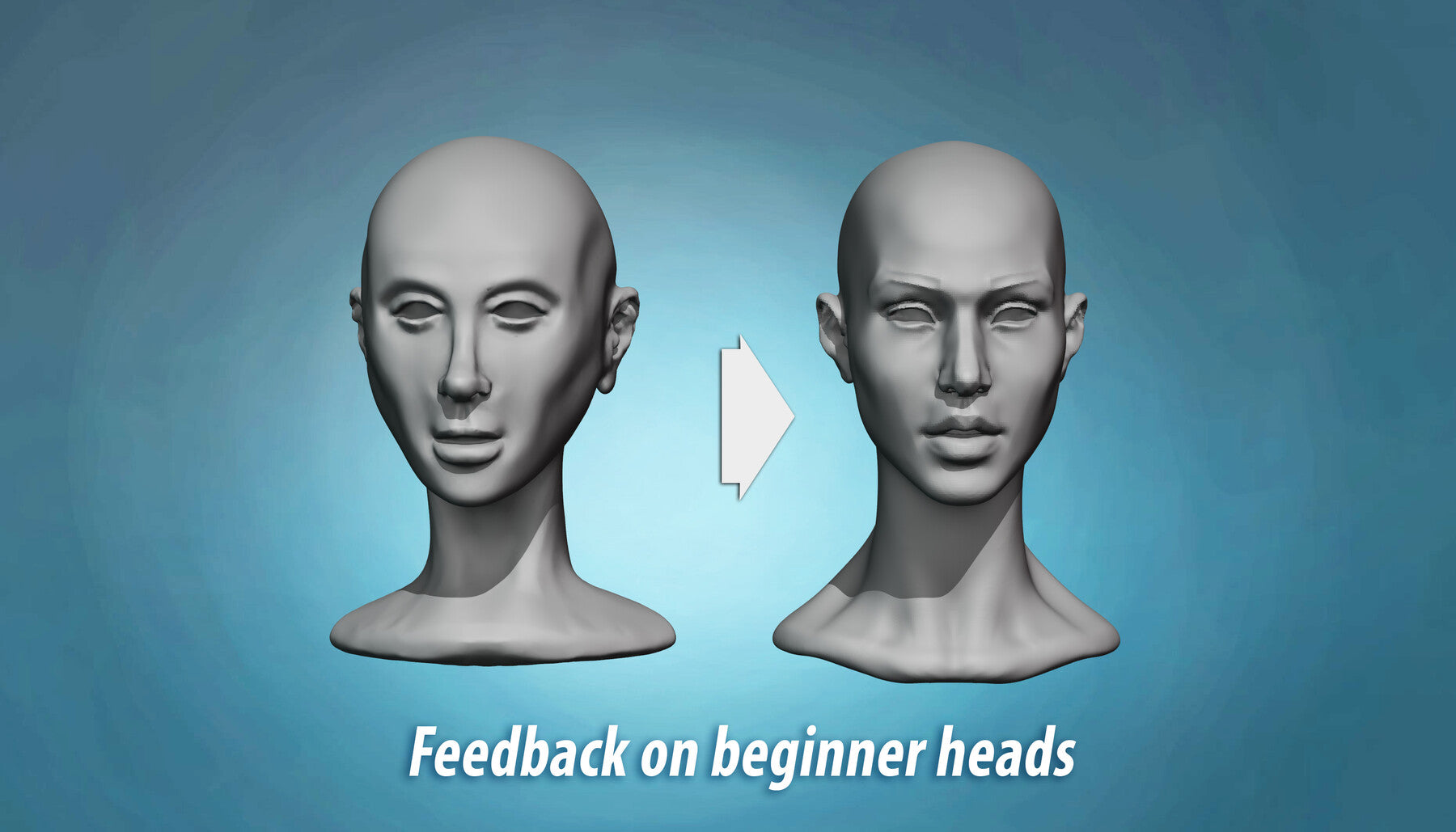 Head Anatomy and Sculpting Exercises