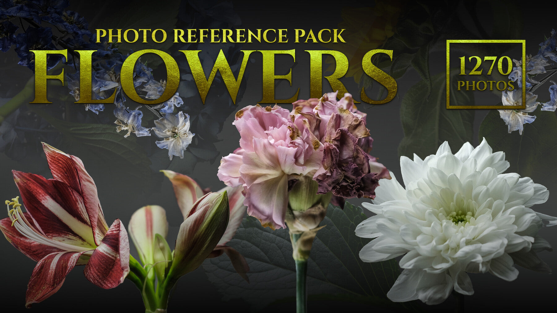 A Flowers vol.2-Photo Reference Pack For Artists 1035 JPEGs