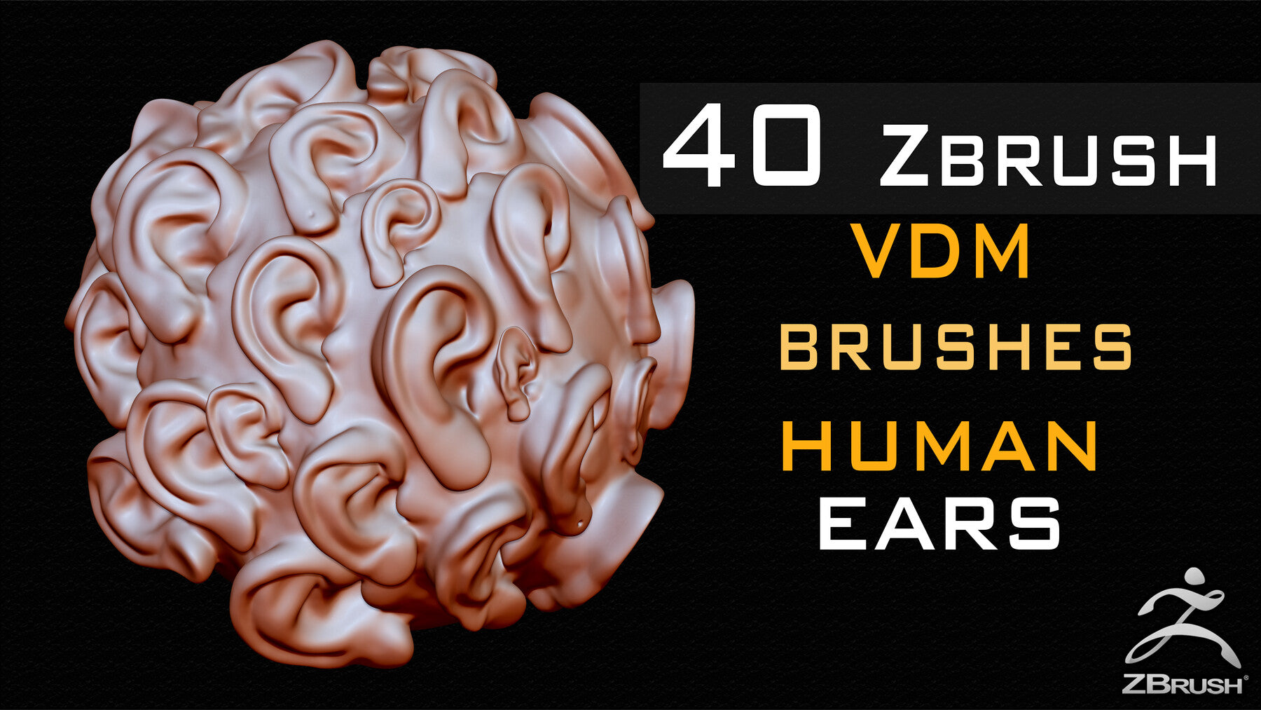 40 Zbrush VDM Human Ears Brushes + Alpha + FBX + OBJ