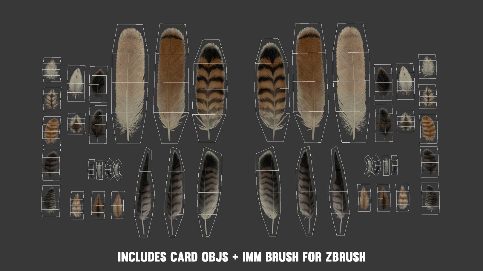 Red-Tailed Hawk Feathers Texture Pack + IMM