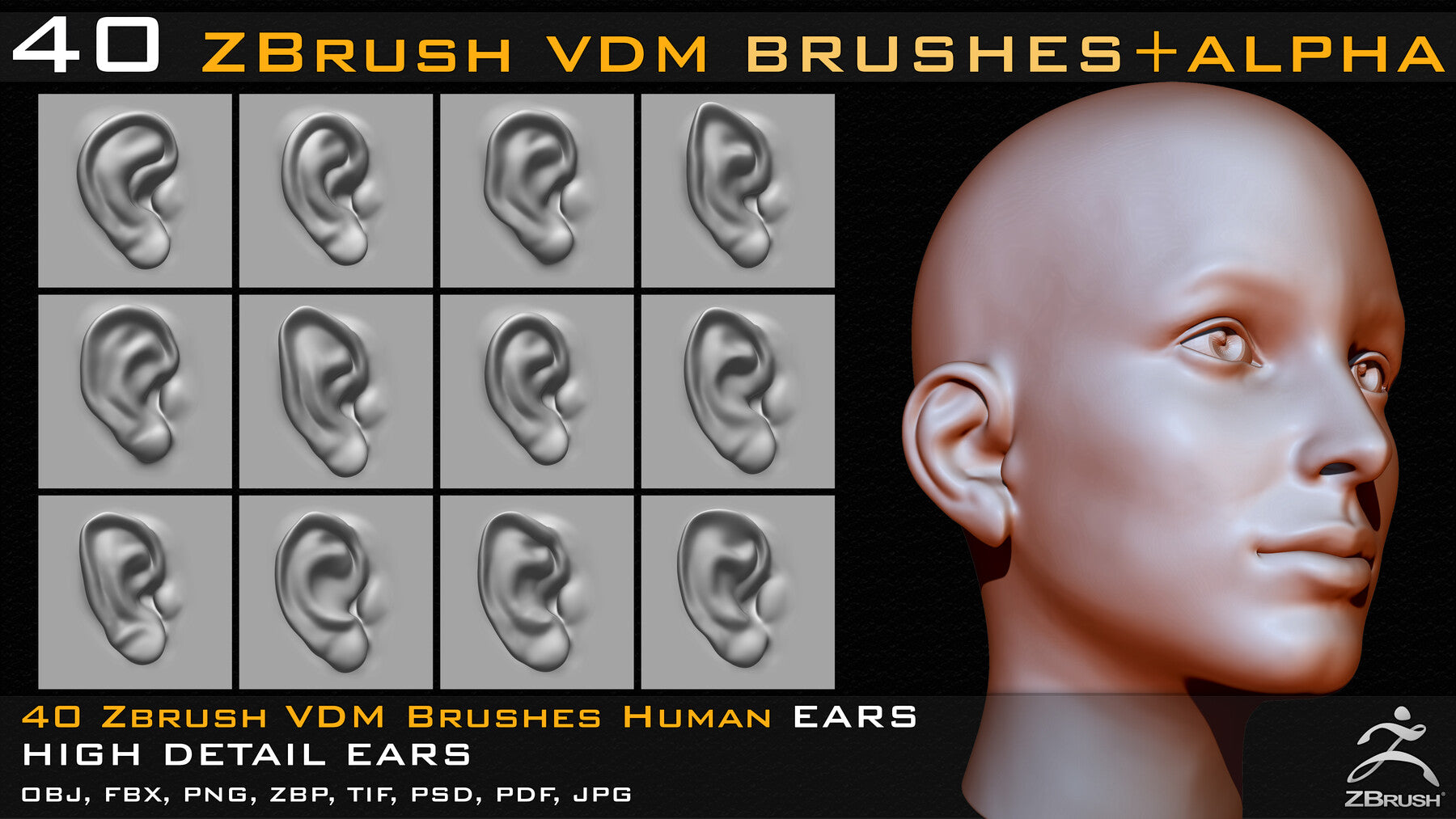 40 Zbrush VDM Human Ears Brushes + Alpha + FBX + OBJ