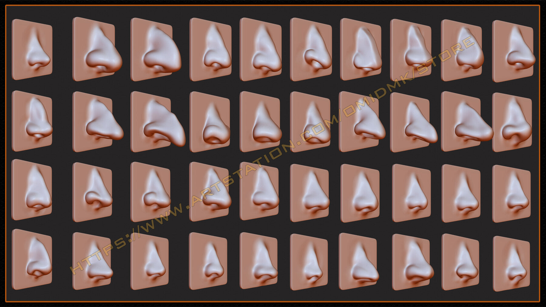 40 Zbrush VDM Human Nose Brushes + Alpha + FBX + OBJ (Vol.01 )