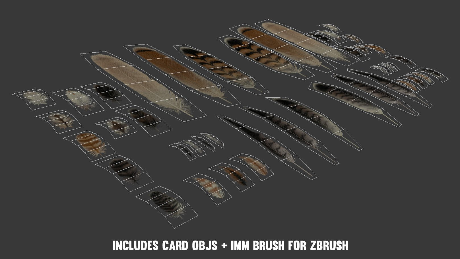 Red-Tailed Hawk Feathers Texture Pack + IMM