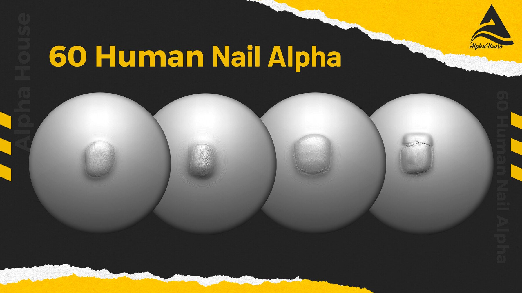 60 Human Nail Alpha