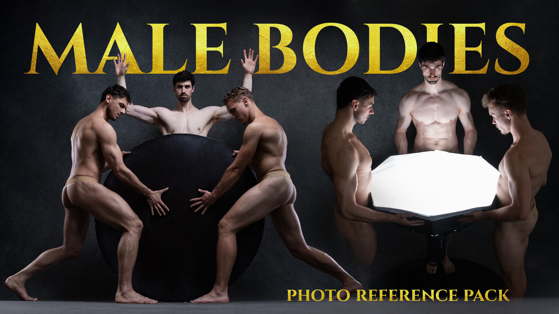 Male Bodies- Photo Reference Pack For Artists-163 JPEGs